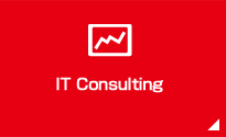 IT Consulting