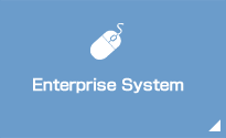 Enterprise System