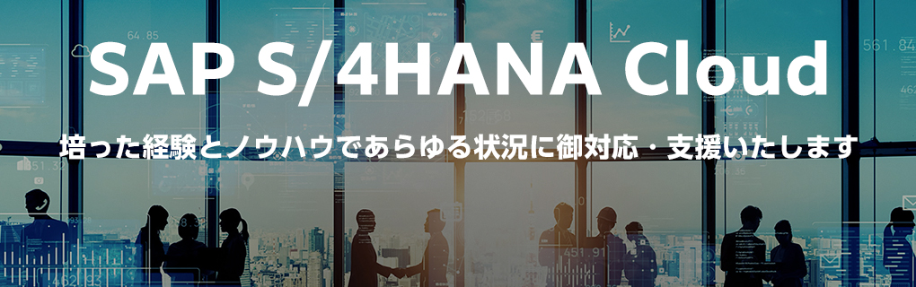 SAP S/4 HANA Cloud