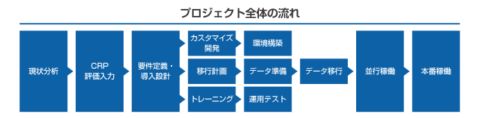 図：プロジェクト全体の流れ