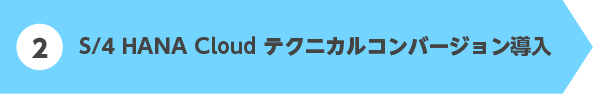 2.S/4 HANA Cloud テクニカルコンバージョン導入