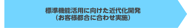 標準機能活用に向けた近代化開発（お客様都合にあわせ実施）
