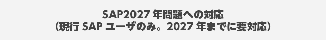 SAP2027年問題への対応（現行SAPユーザのみ。2027年までに要対応）