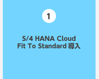 1.S/4 HANA Cloud Fit To Standard 導入